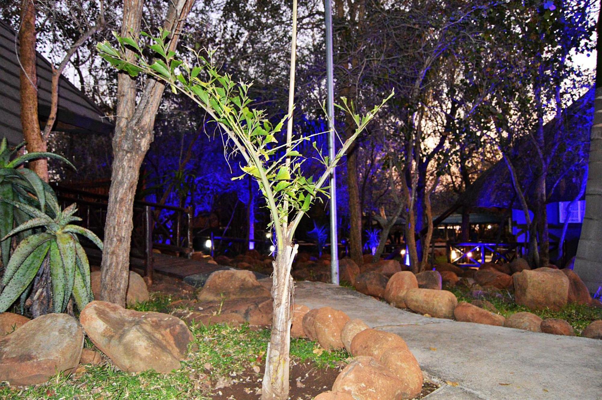 Royal Marlothi Kruger Safari Lodge And Spa Marloth Park Luaran gambar